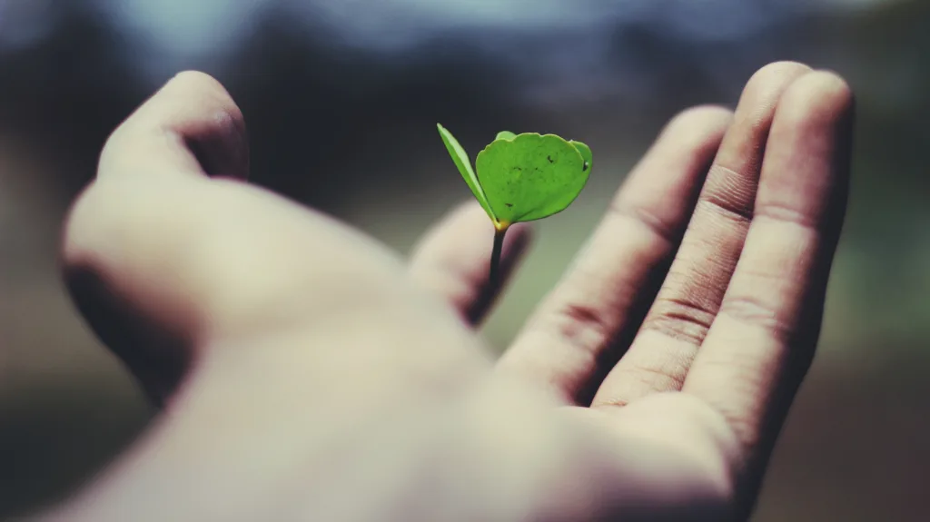 How Can TLAC Techniques Be Modified To Better Suit A Classroom That Emphasizes The Growth Mindset?